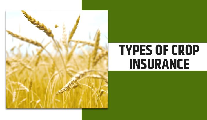 Federal Crop Insurance